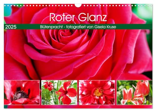 Roter Glanz Blütenpracht (Wandkalender 2025 DIN A3 quer), CALVENDO Monatskalender von CALVENDO