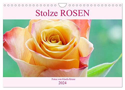 Stolze Rosen (Wandkalender 2024 DIN A4 quer), CALVENDO Monatskalender von CALVENDO