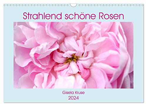 Strahlend schöne Rosen (Wandkalender 2024 DIN A3 quer), CALVENDO Monatskalender