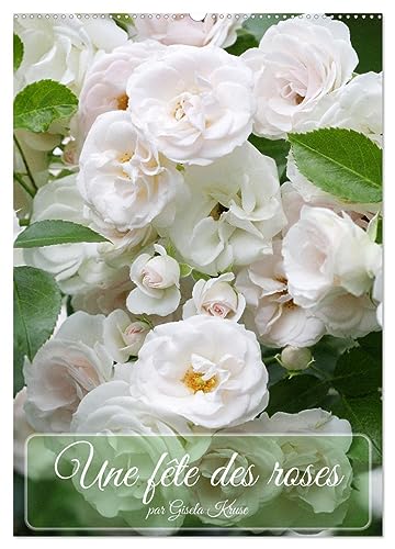 Une fête des roses (Wandkalender 2024 DIN A2 hoch), CALVENDO Monatskalender