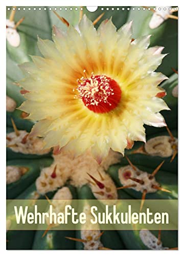 Wehrhafte Sukkulenten (Wandkalender 2025 DIN A3 hoch), CALVENDO Monatskalender von CALVENDO
