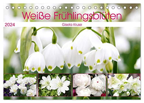 Weiße Frühlingsblüten (Tischkalender 2024 DIN A5 quer), CALVENDO Monatskalender von CALVENDO