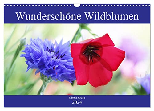 Wunderschöne Wildblumen (Wandkalender 2024 DIN A3 quer), CALVENDO Monatskalender von CALVENDO