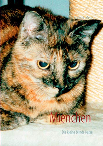 Mienchen die kleine blinde Katze