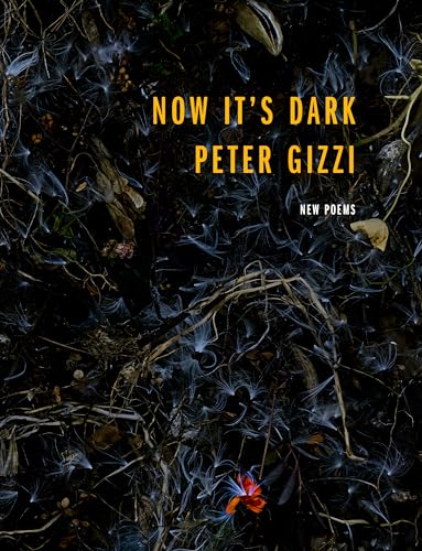 Now It's Dark (Wesleyan Poetry)
