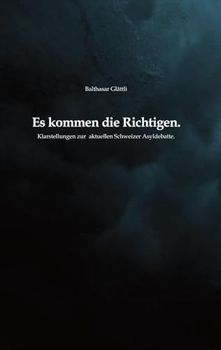 Es kommen die Richtigen.: Klarstellungen zur aktuellen Schweizer Asyldebatte von Book on Demand