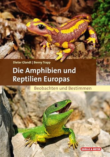 Die Amphibien und Reptilien Europas: Beobachten und Bestimmen (Quelle & Meyer Bestimmungsbücher)
