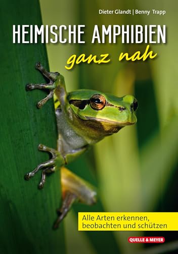 Heimische Amphibien ganz nah: Alle Arten erkennen, beobachten und schützen von Quelle + Meyer