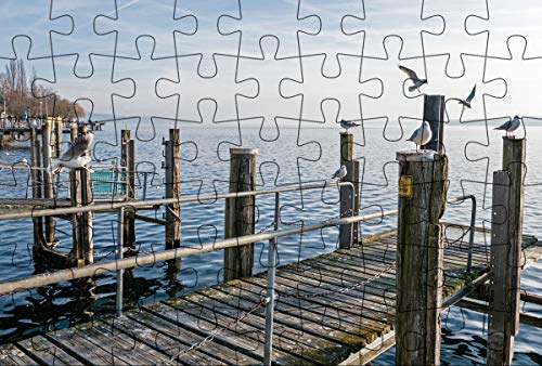 Puzzlepostkarte Bodensee 1: Motiv Möwen am Steg (Kultur erleben im GMEINER-Verlag) von Gmeiner-Verlag