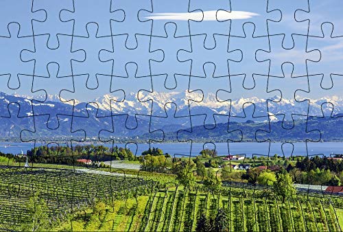 Puzzlepostkarte Bodensee 3: Motiv See und Alpen (Kultur erleben im GMEINER-Verlag) von Gmeiner-Verlag