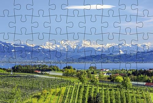 Puzzlepostkarte Bodensee 3: Motiv See und Alpen (Kultur erleben im GMEINER-Verlag)
