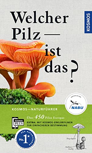 Welcher Pilz ist das?