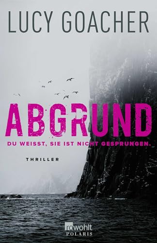 Abgrund: Du weißt, sie ist nicht gesprungen. von Rowohlt Taschenbuch