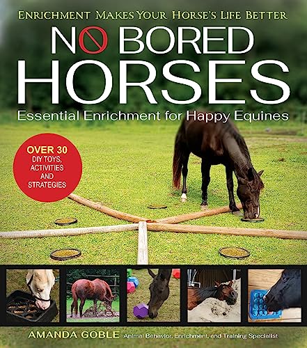 No Bored Horses: Essential Enrichment for Happy Equines