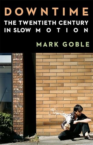 Downtime: The Twentieth Century in Slow Motion von Columbia University Press