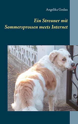 Ein Streuner mit Sommersprossen meets Internet Ein Streuner mit Sommersprossen meets Internet