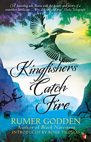 Kingfishers Catch Fire: A Virago Modern Classic (Virago Modern Classics)