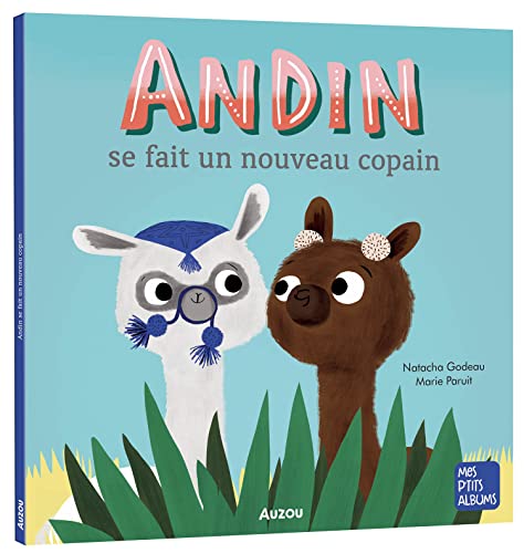 ANDIN SE FAIT UN NOUVEAU COPAIN: Nouvelle édition von AUZOU