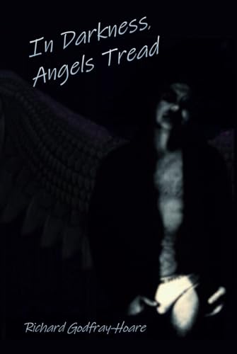 In Darkness, Angels Tread (Enigma, Band 2) von Independently published