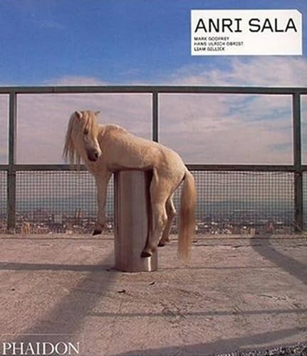 Anri Sala (Phaidon Contemporary Artists, Band 0) von PHAIDON