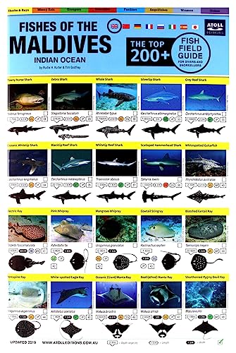 Maldives Fish Field Guide "Top 200+"