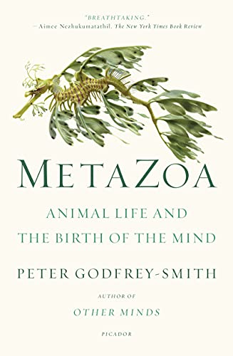 Metazoa: Animal Life and the Birth of the Mind