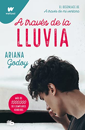 A través de la lluvia (edición revisada por la autora) (Trilogía Hermanos Hidalgo 3) (Ficción, Band 3) von B de Bolsillo