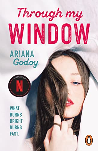 Through My Window: The million-copy bestselling Netflix sensation! von Penguin
