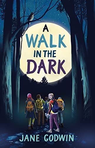 A Walk in the Dark von Hachette Australia