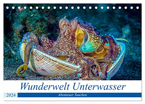 Wunderwelt Unterwasser (Tischkalender 2024 DIN A5 quer), CALVENDO Monatskalender