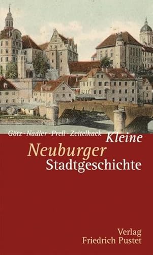 Kleine Neuburger Stadtgeschichte (Kleine Stadtgeschichten)
