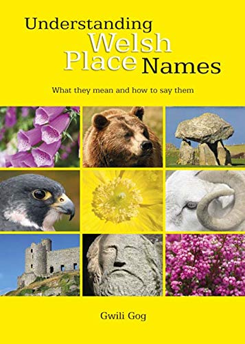 Understanding Welsh Place Names: What They Mean and How to Say Them von Northern Eye Books