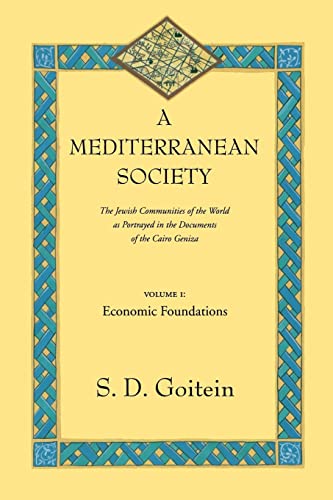 A Mediterranean Society: The Jewish Communities of the Arab World as Portrayed in the Documents of the Cairo Geniza, Economic Foundations: The Jewish ... Volume 6 (Near Eastern Center, UCLA, Band 6)
