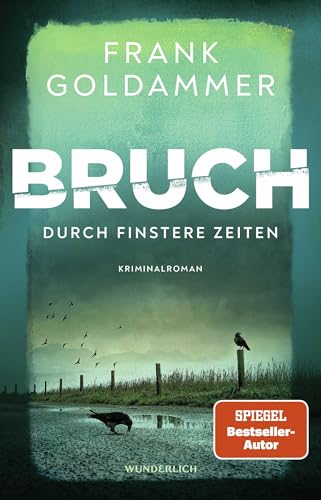 Bruch: Durch finstere Zeiten: Roman