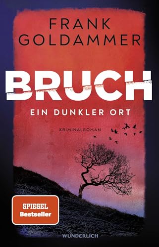 Bruch: Ein dunkler Ort: Ein dunkler Ort