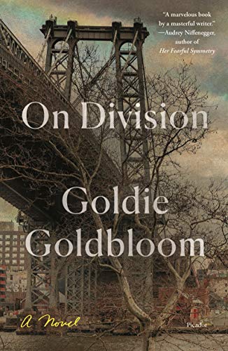 On Division: A Novel von Picador USA
