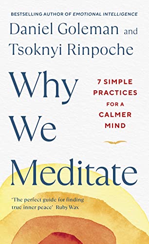 Why We Meditate: 7 Simple Practices for a Calmer Mind Why We Meditate: 7 Simple Practices for a Calmer Mind von Penguin