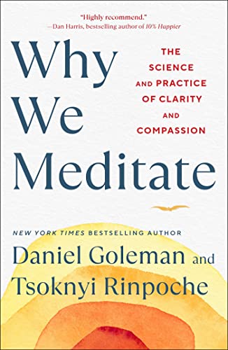 Why We Meditate: The Science and Practice of Clarity and Compassion von Atria Books