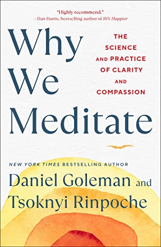 Why We Meditate: The Science and Practice of Clarity and Compassion Why We Meditate: The Science and Practice of Clarity and Compassion
