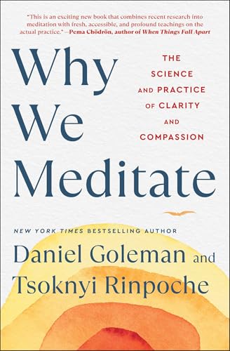 Why We Meditate: The Science and Practice of Clarity and Compassion Why We Meditate: The Science and Practice of Clarity and Compassion von Atria