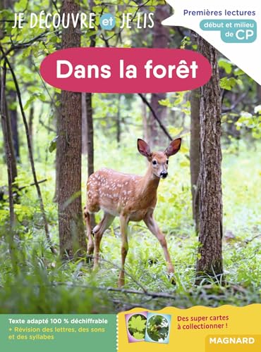 Je découvre et je lis CP - Dans la forêt: Début et milieu de CP von MAGNARD