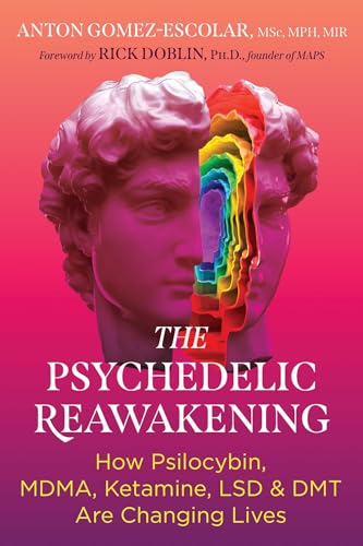 The Psychedelic Reawakening: How Psilocybin, MDMA, Ketamine, LSD, and DMT Are Changing Lives von Park Street Press