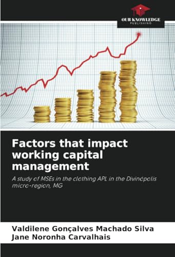 Factors that impact working capital management: A study of MSEs in the clothing APL in the Divinópolis micro-region, MG von Our Knowledge Publishing