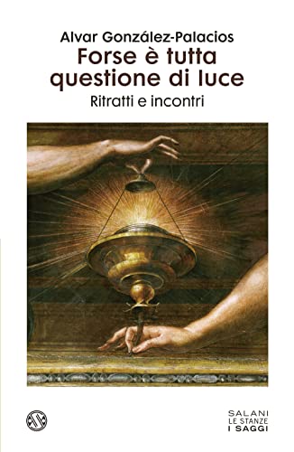 Forse è tutta questione di luce. Ritratti e incontri (Le stanze) von Salani