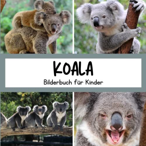 Bilderbuch für Kinder - Koala: Koalain Bildern - Kinder von 2 bis 5 Jahren von Independently published