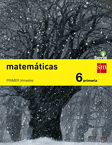 Savia, matemáticas, 6 Educación Primaria: Matematicas 6 Primaria von EDICIONES SM