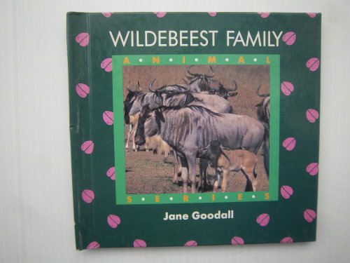 Wildebeest Family