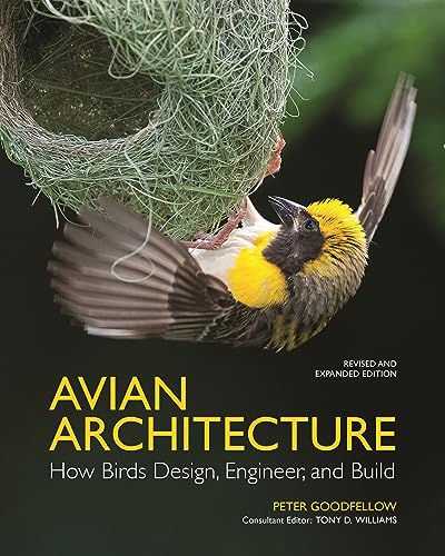 Avian Architecture: How Birds Design, Engineer, and Build