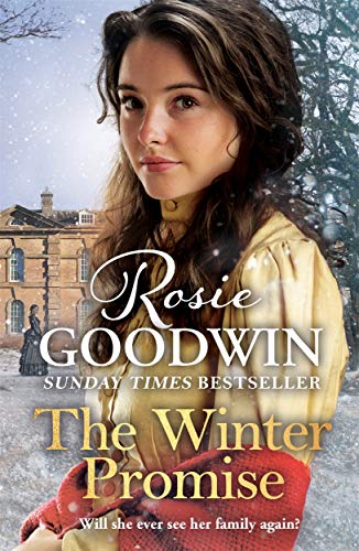 The Winter Promise: A perfect cosy Victorian saga from the Sunday Times bestselling author (Precious Stones)