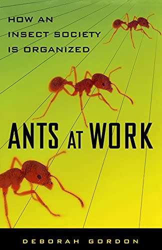 Ants At Work: How An Insect Society Is Organized